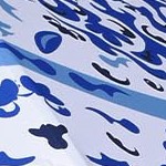 ob-blue chinese porcelain