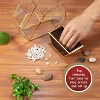 D'Eco Glass Heart Plant Terrarium (8X 8X 2.5)- Gold Trim Geometric Planter- Home, Office & Wedding Decor- Great Gift for Plant Lovers and Mother's Day - 2 of 4