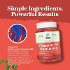 Vitamin D3 Gummies, Vitamin D Gummies for Adults with Vitamin D3 2000IU per Serving for Bone Muscle & Immune Support, Nature's Craft, 120ct - 4 of 4
