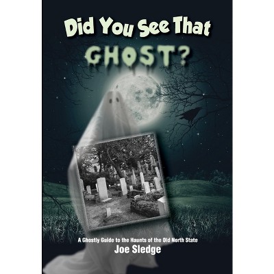 Did You See That Ghost? - (Did You See That?) by  Joe Sledge (Paperback)