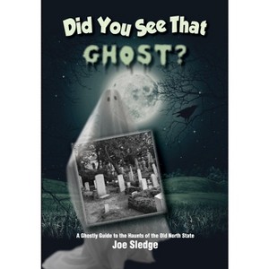 Did You See That Ghost? - (Did You See That?) by  Joe Sledge (Paperback) - 1 of 1