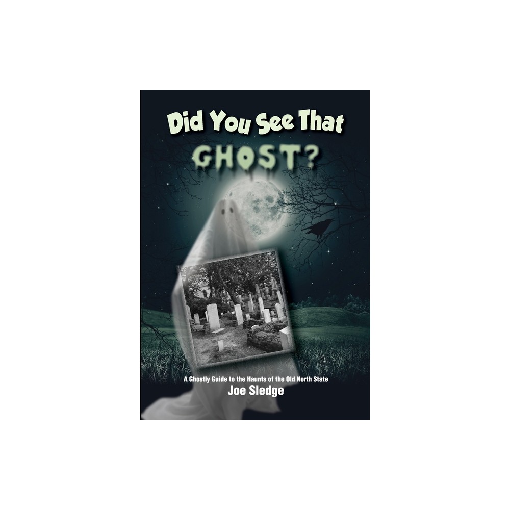 Did You See That Ghost? - (Did You See That?) by Joe Sledge (Paperback)