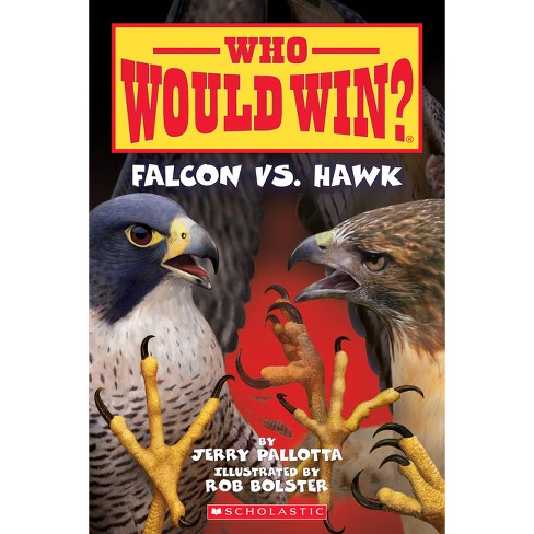 All About Falcon - How Is It Different From A Hawk?