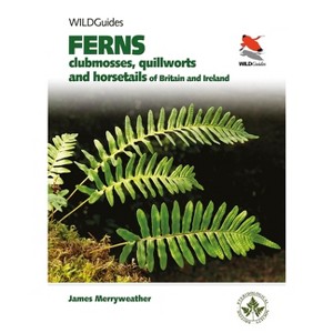 Ferns - by  James Merryweather (Paperback) - 1 of 1