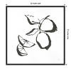 Amanti Art Limes BW by Chris Paschke Canvas Wall Art Print Framed 22 x 22-in. - 4 of 4