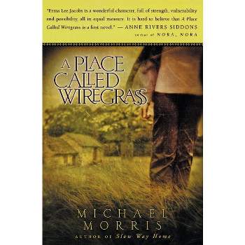 A Place Called Wiregrass - by  Michael Morris (Paperback)