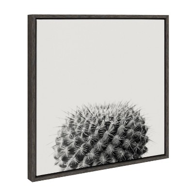 Gray Haze Succulent Cactus Canvas Wall Art, 22x22