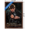 Trends International Fantastic Beasts: The Secrets of Dumbledore - Newt Framed Wall Poster Prints - 3 of 4