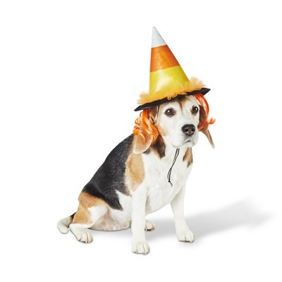 Candy Corn Witch Hat Dog And Cat Costume Hyde Eek Boutique