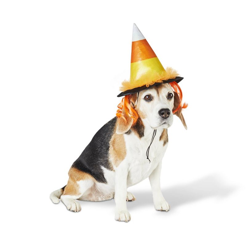 Candy Corn Witch Hat Dog and Cat Costume - Hyde & EEK! Boutique™, 1 of 9