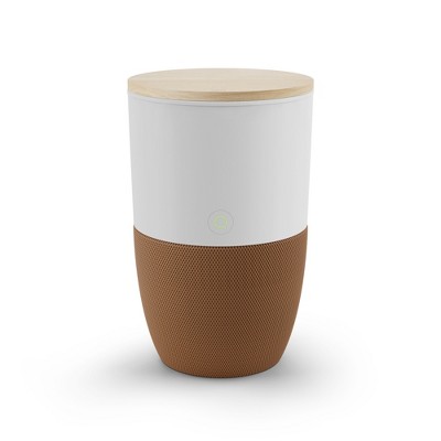 Dupray Bloom Air Purifier | Medical-Grade HEPA-13 Air Filtration