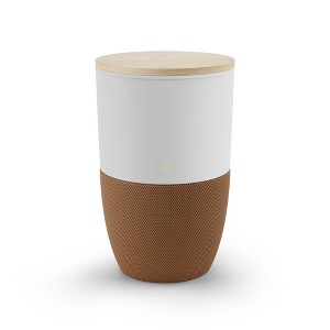 Dupray Bloom Air Purifier | Medical-Grade HEPA-13 Air Filtration - 1 of 4