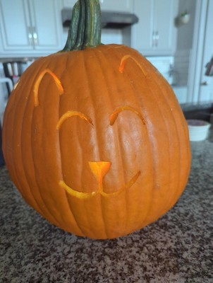 Guest review image 1 of 2, zoom in