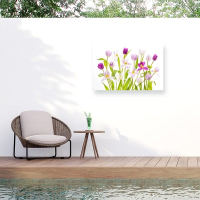 Trademark Fine Art - Jacky Parker  Tulipa Spring Matted Framed Art