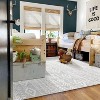 Lahome Machine Washable Cashmere Area Rug-Modern Soft Carpet for Living Room, Bedroom, or Office - 3 of 4