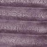 00 - purple