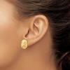 Black Bow Jewelry 16mm Polished Sand Dollar Post Earrings in 14k Yellow Gold - 3 of 4