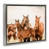 Stupell Industries Horse & Foals Photography, 21" x 17" - 3 of 4