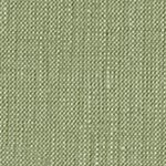 chambray olive