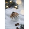 Gulches Series Silver Shatterproof Natural Iced Leaf Twig Ball Christmas Ornament - 4 of 4
