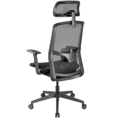 Black Mesh Ergonomic Office Chair with Adjustable Arms and Headrest