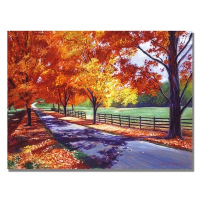 Trademark Fine Art -David Lloyd Glover 'October Road' Canvas Art