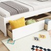 VASIP Twin Size L-Shaped Bookcase Bed with Built-in 2 Drawers,for Kids' & Teen Rooms,Gray - 4 of 4