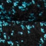 black/teal