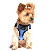 Doggie Design American River Choke Free Dog Harness Ombre Collection-Midnight Sky - 3 of 3