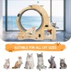Gulches Enhance Your Cat's Life: Multifunctional Cat Exercise Wheel, A Perfect Cat Furniture and Toy - 2 of 4