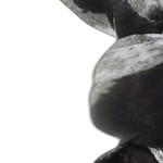 black, gray
