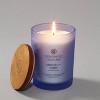 Jar Candle Serenity and Calm - Chesapeake Bay Candle - image 4 of 4