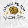 Men's University of Arkansas at Pine Bluff Official Golden Lions T-Shirt - 2 of 4