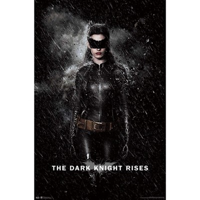 Trends International Dc Comics Movie - The Dark Knight Rises - Catwoman  Rain Framed Wall Poster Prints : Target