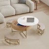 Contemporary Natural Round Lift-Top Coffee Table with Hidden Storage and Nesting Ottomans for Living Room - Panipeachy - 3 of 4