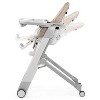 Peg Perego Siesta High Chair - Astral - 4 of 4