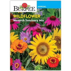 Burpee Wildflower Monarch Mix Flower Seeds - 1 of 4