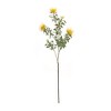 Melrose Flocked Protea Spray (Set of 6) - 3 of 3