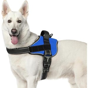 rabbitgoo Dog Harness for Extra Large Dogs, Reflective, Adjustable Pet Harness with Molle for Walking, Training, Blue, XL - 1 of 1