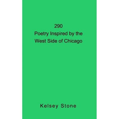 290 - by  Kelsey Stone (Paperback)