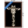 Trends International Portrait of a Giraffe Framed Wall Poster Prints - 3 of 4