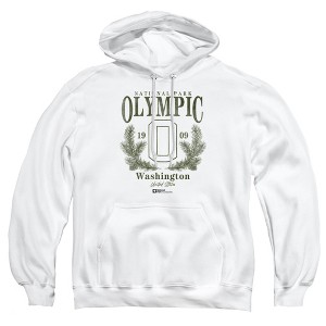 Men's Olympic National Park Pine Wreath Pull-Over Hoodie - 1 of 4