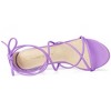Allegra K Women's Casual Strappy Ankle Straps Lace Up Chunky Heel Sandals - 4 of 4