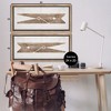 Stupell Industries Minimal Laundry Clothespins 2pc Floating Frame Art Set - 3 of 4