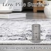 Non-Slip Washable Vintage Area Rug, Low-Pile Distressed Print Carpet for Living Room, Bedroom & Entryway – Stain-Resistant, Pet-Friendly - 4 of 4