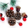 Cesicia 108pcs Artificial Pine Cones Pine Branch Set, Christmas Tree Ornaments - 2 of 3