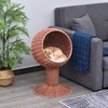 LOVSON Elevated Cat Bed with Rotatable Egg Chair Pod, Cat Basket Bed with Thick Cushion, Natural Mat Grass Woven Kitty House, Brown - 2 of 4