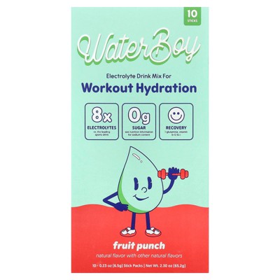 Waterboy Workout Hydration, Electrolyte Drink Mix, Fruit Punch, 10 Stick Packs, 0.23 oz (6.5 g) Each