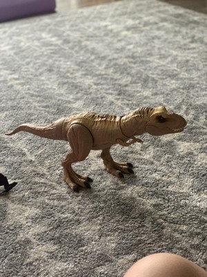  Mattel Jurassic World Hunt 'n Chomp Dinosaur Toy with Sound &  Motion, Tyrannosaurus T Rex Action Figure with Tracking Gear : Toys & Games