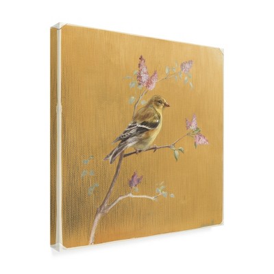 Trademark Fine Art -Danhui Nai 'Female Goldfinch On Gold' Canvas Art